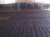 Animat Slated Rubber Flooring for Beef
