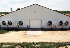 Dairy Exhaust Fans