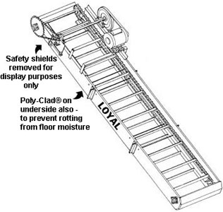 LOYAL POLY CONVEYOR (18" DOUBLE-CHAIN) Chain Conveyor